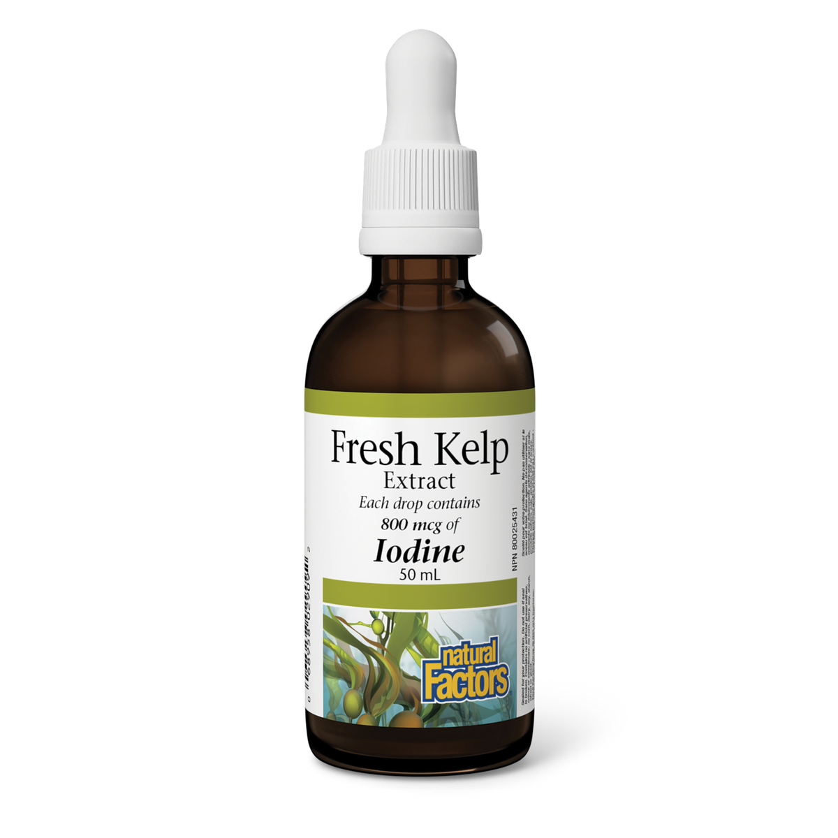 Natural Factors Fresh Kelp Extract 800 mcg