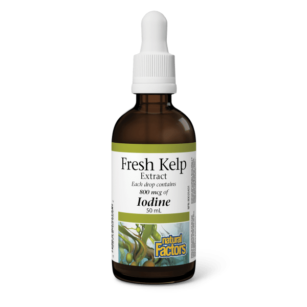 Natural Factors  Fresh Kelp Extract 800 mcg