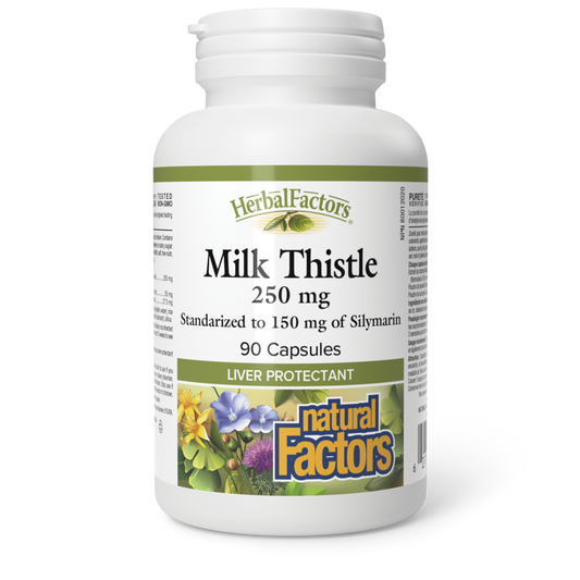 Natural Factors Milk Thistle 15mg Silymarin 90 Cap