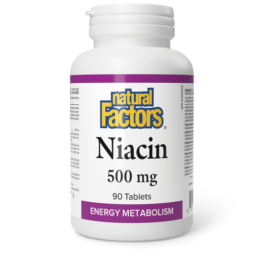 Natural Factors Vitamin B3 Nicotinic Acid 90 Table