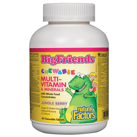 Natural Factors Multivitamin & Minerals, Jungle Berry Big Friends®