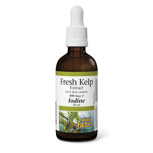 Natural Factors  Fresh Kelp Extract 800 mcg