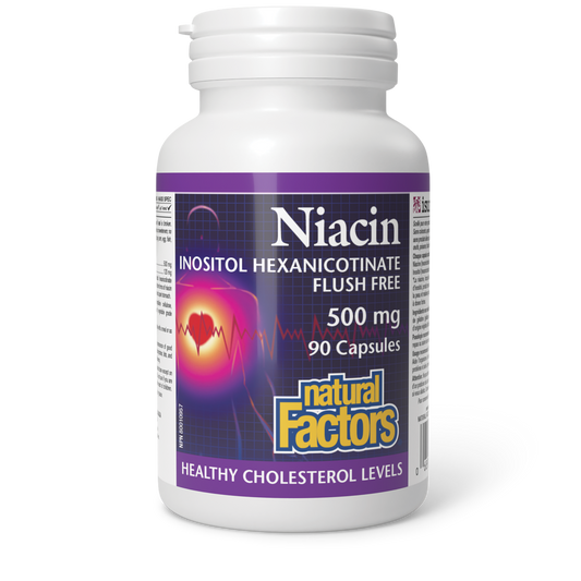 Natural Factors No Flush Niacin 90 Capsules