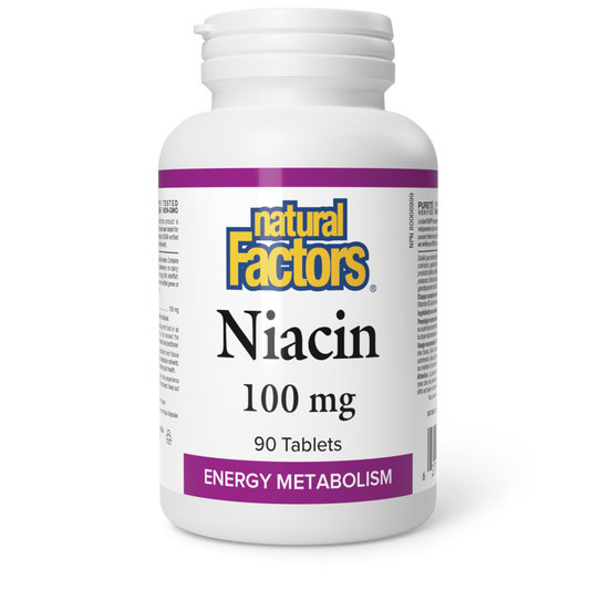 Natural Factors Vitamin B3 Nicotinic Acid 90 Table